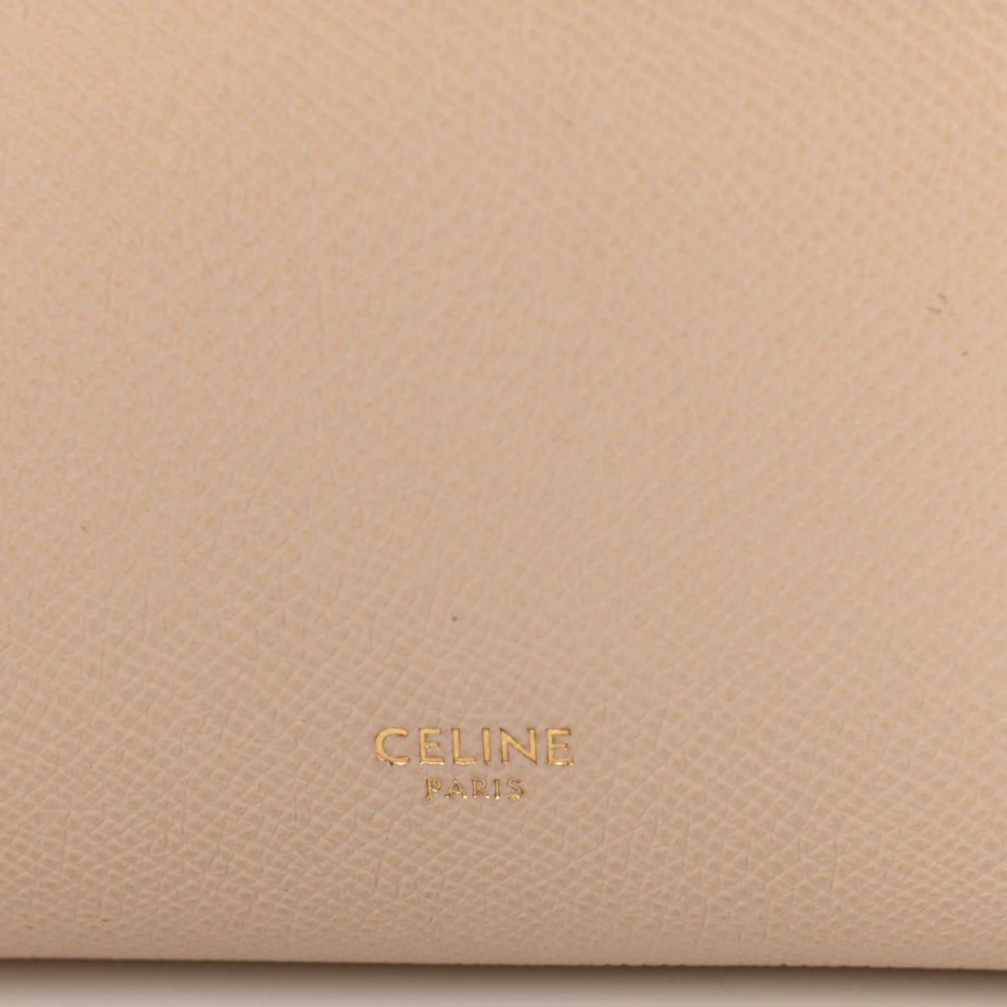 Grained Calfskin Nano Belt Bag Powder