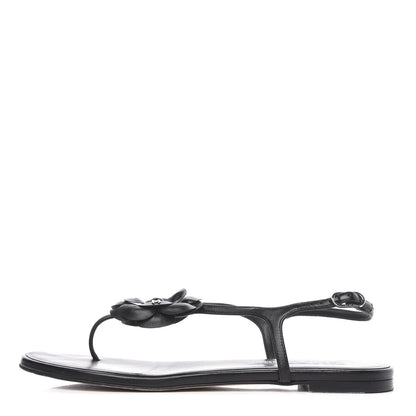 Chanel Lambskin Camellia Thong Sandals 41.5 Black 1 of 8