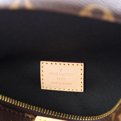 Louis Vuitton Monogram Bumbag 7 of 9