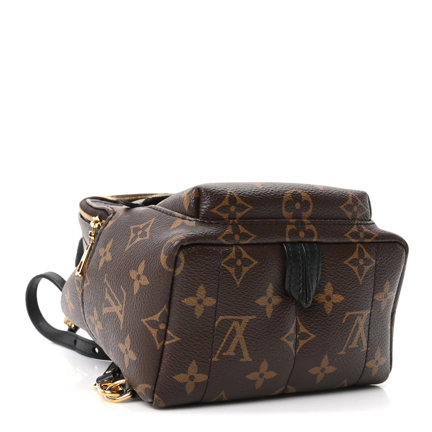 Monogram Palm Springs Backpack Mini