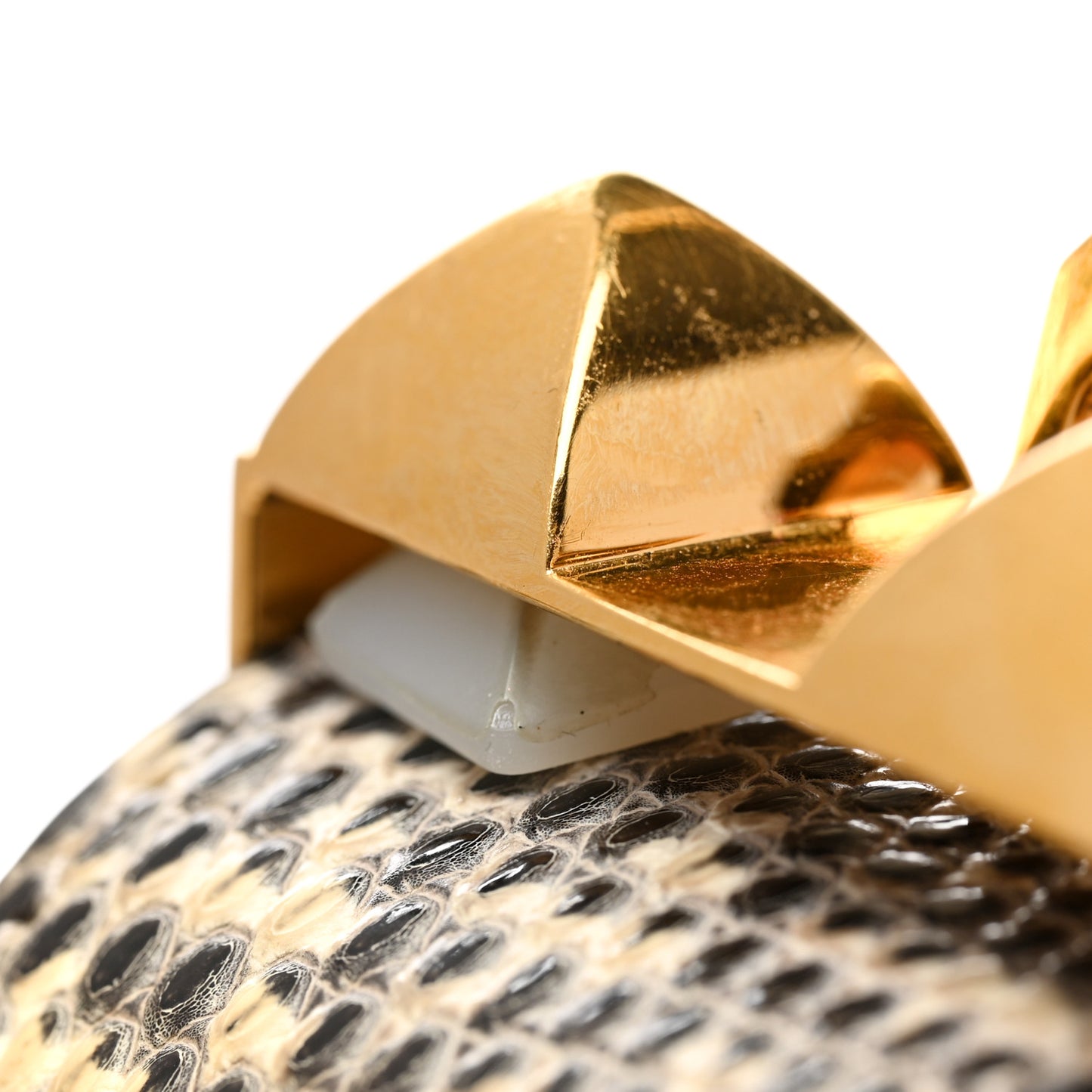 Lizard Collier De Chien CDC Bracelet T2 Ombre