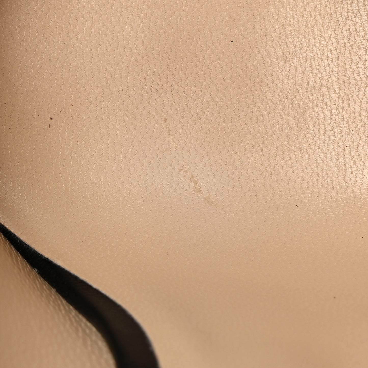 Coarse Glitter Degrade Pointy Toe Romy 100 Pumps 38 Light 38 Mocha Black