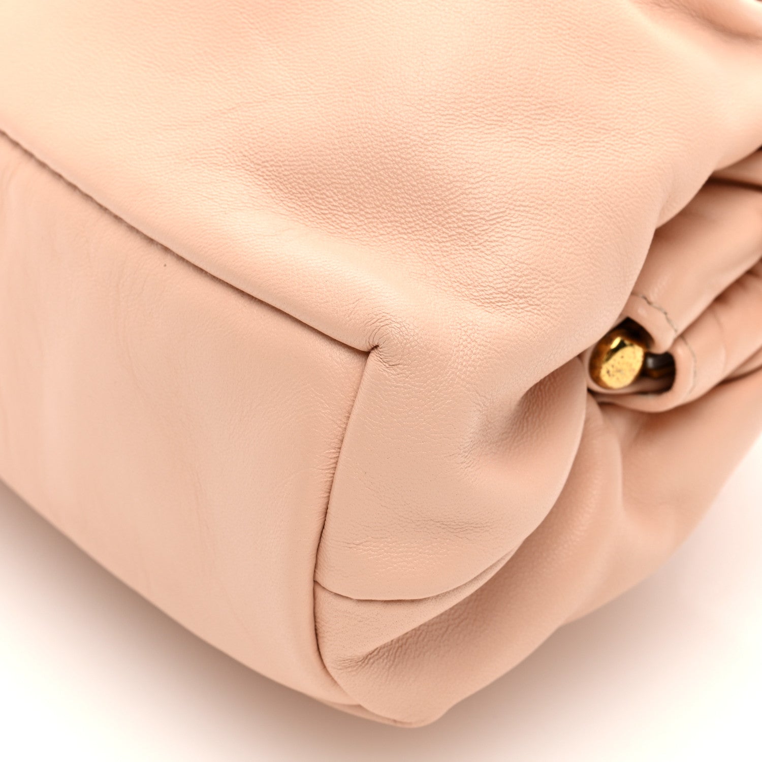 Mansur Gavriel Lambskin Cloud Mini Clutch Dahlia 9 of 9