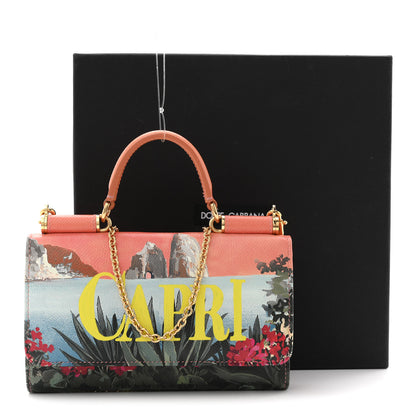 Dolce & Gabbana Dauphine Capri Printed Mini Von Bag Multicolor 14 of 14