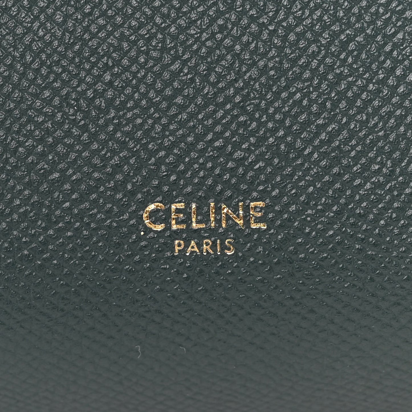 Grained Calfskin Nano Belt Bag Amazone