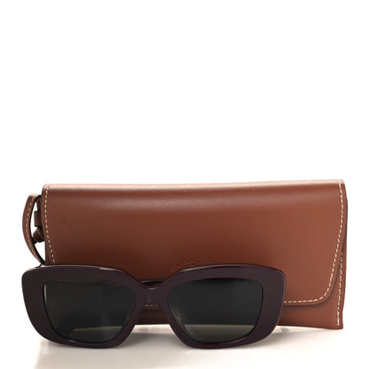 Celine Acetate Triomphe Sunglasses CL40216U Dark Aubergine 7 of 7