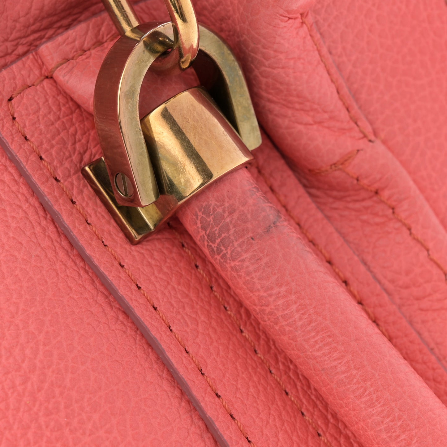 Calfskin Medium Paraty Paradise Pink
