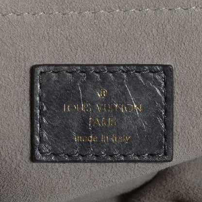 Louis Vuitton Olympe Nimbus PM Anthracite 6 of 7