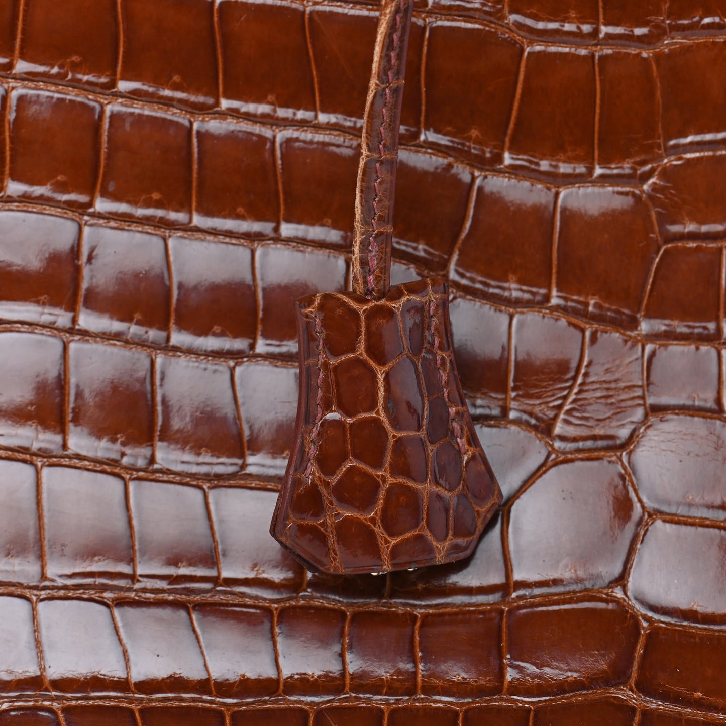 Shiny Porosus Crocodile Birkin 35 Etrusque