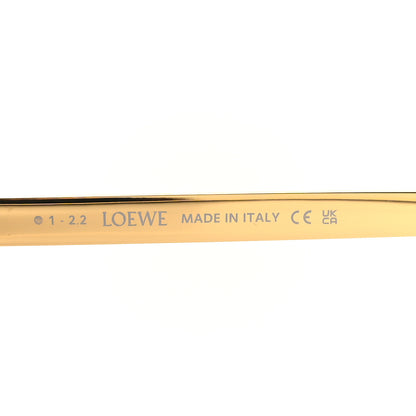 Loewe Acetate Round Sunglasses LW40094U Gold Black 5 of 6