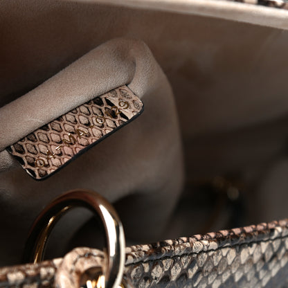 Christian Dior Snakeskin Medium Lady Dior Brown 5 of 9