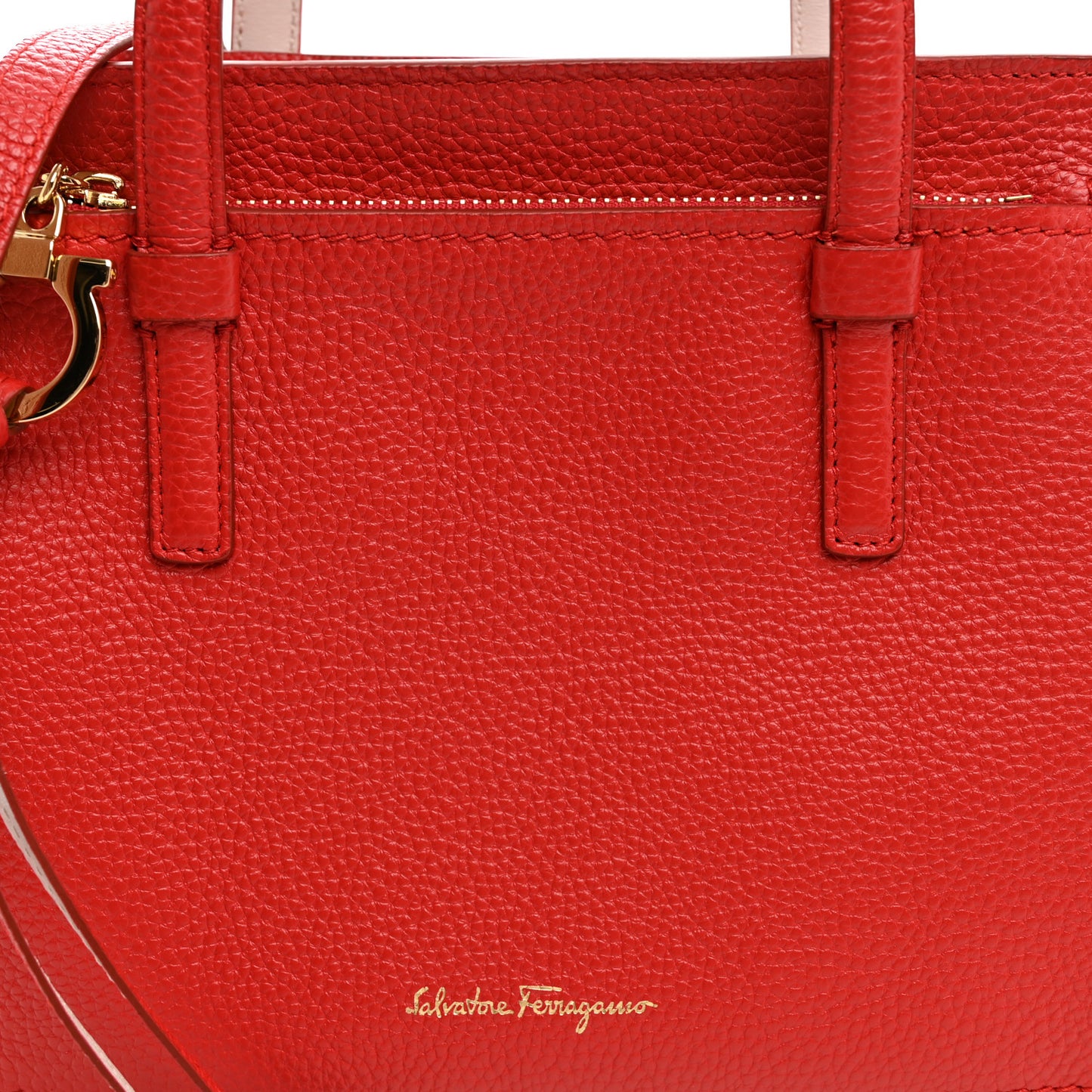 Hammered Calfskin Double Handle Small Amy Tote Flame Red Jasmine Flower
