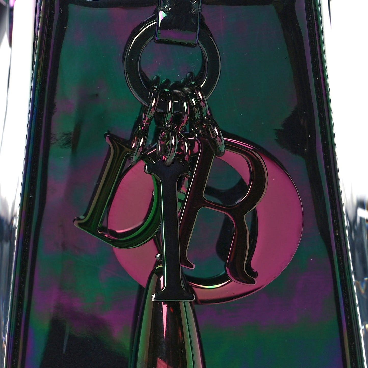 Metallic Iridescent Calfskin Amazonia Gisela Colon Large Art Lady Dior Multicolor