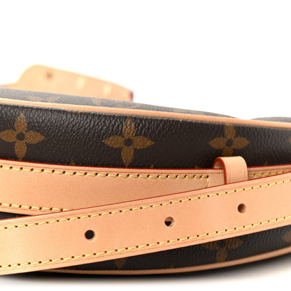 Louis Vuitton Monogram Croissant MM NM 13 of 13