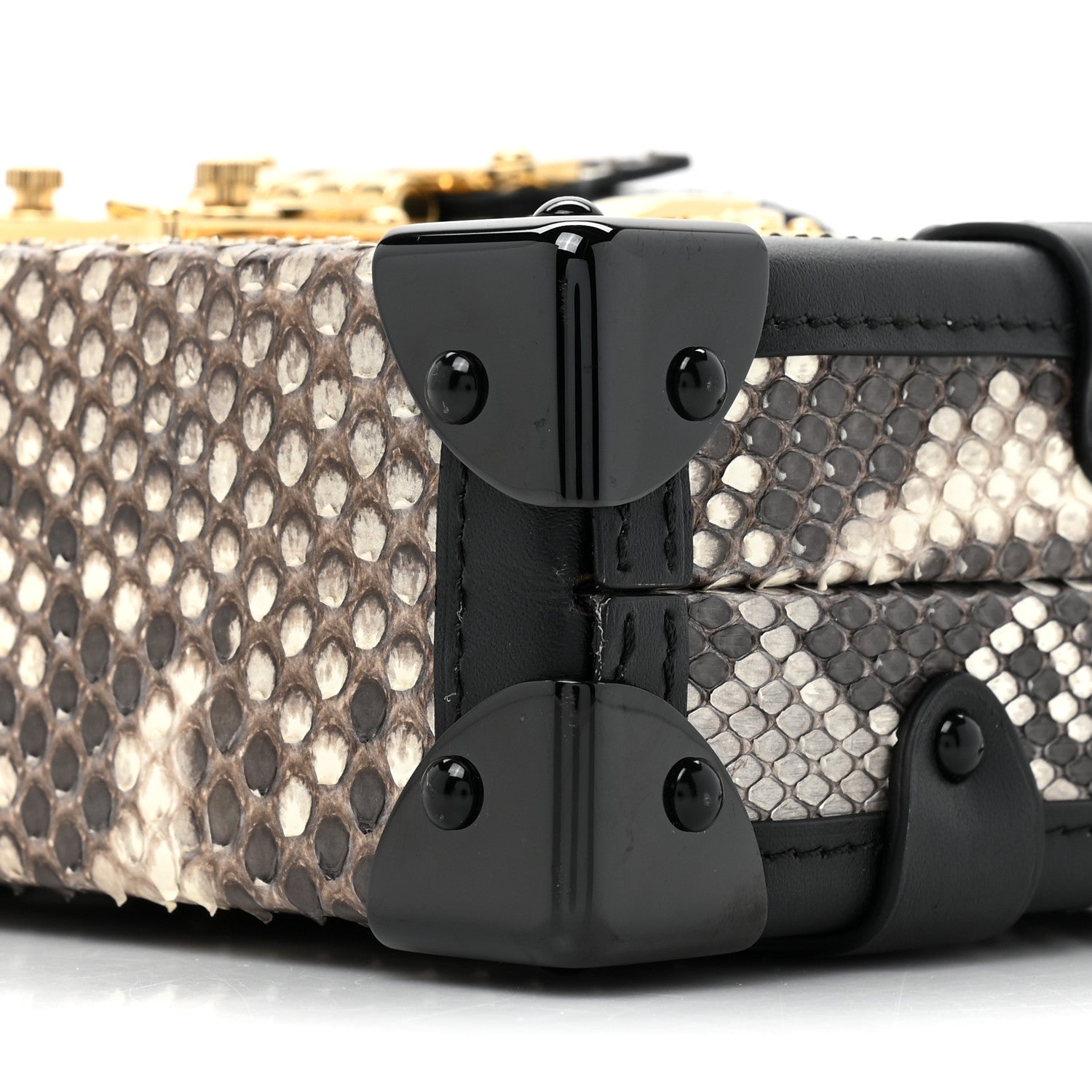 Louis Vuitton Snakeskin Petite Malle 7 of 12