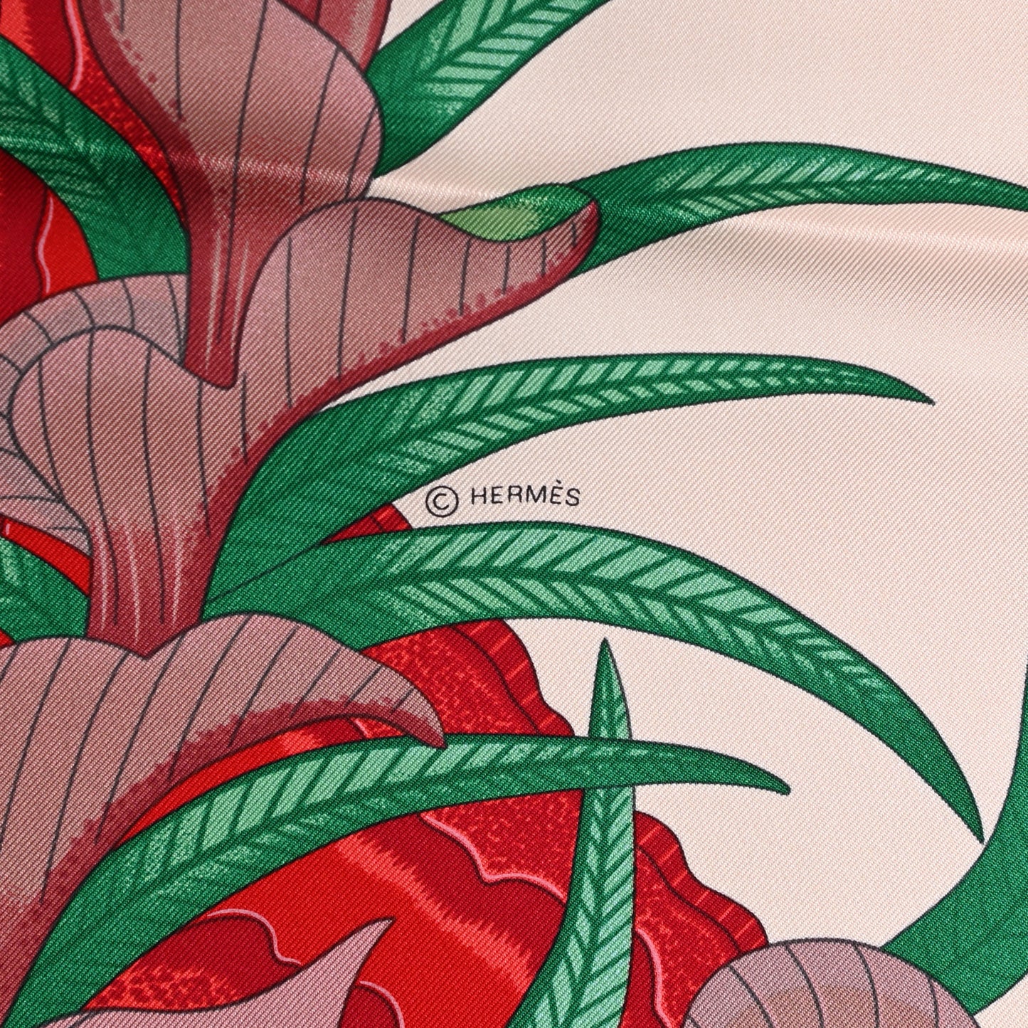 Silk La Marche Du Zambeze Scarf 90 Rose Pale Rouge Vert