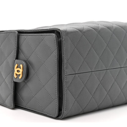 Chanel Caviar Quilted Medium Chanel 25 Handbag Dark Grey 10 of 12