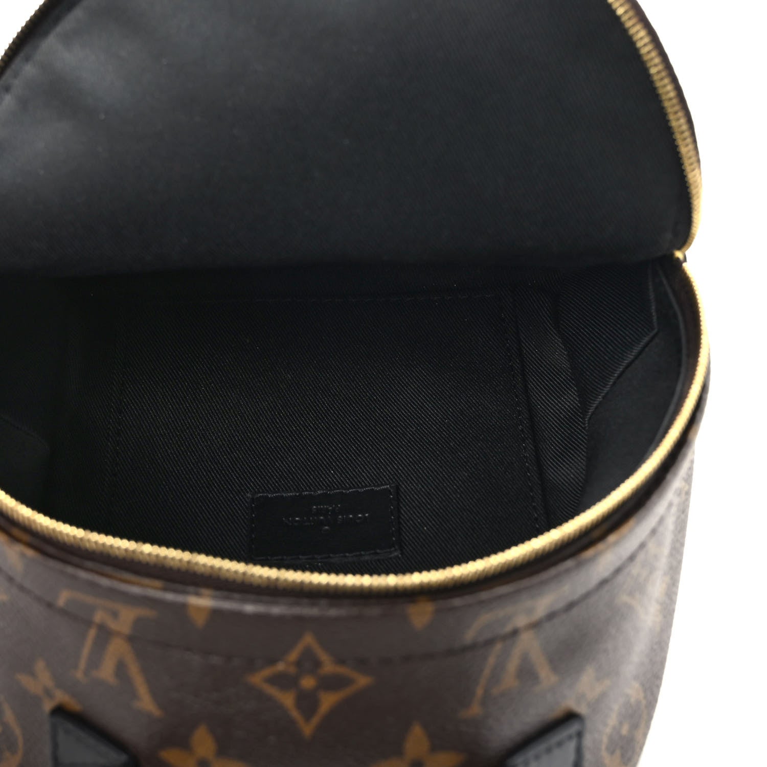 Louis Vuitton Monogram Palm Springs Backpack Mini 5 of 8