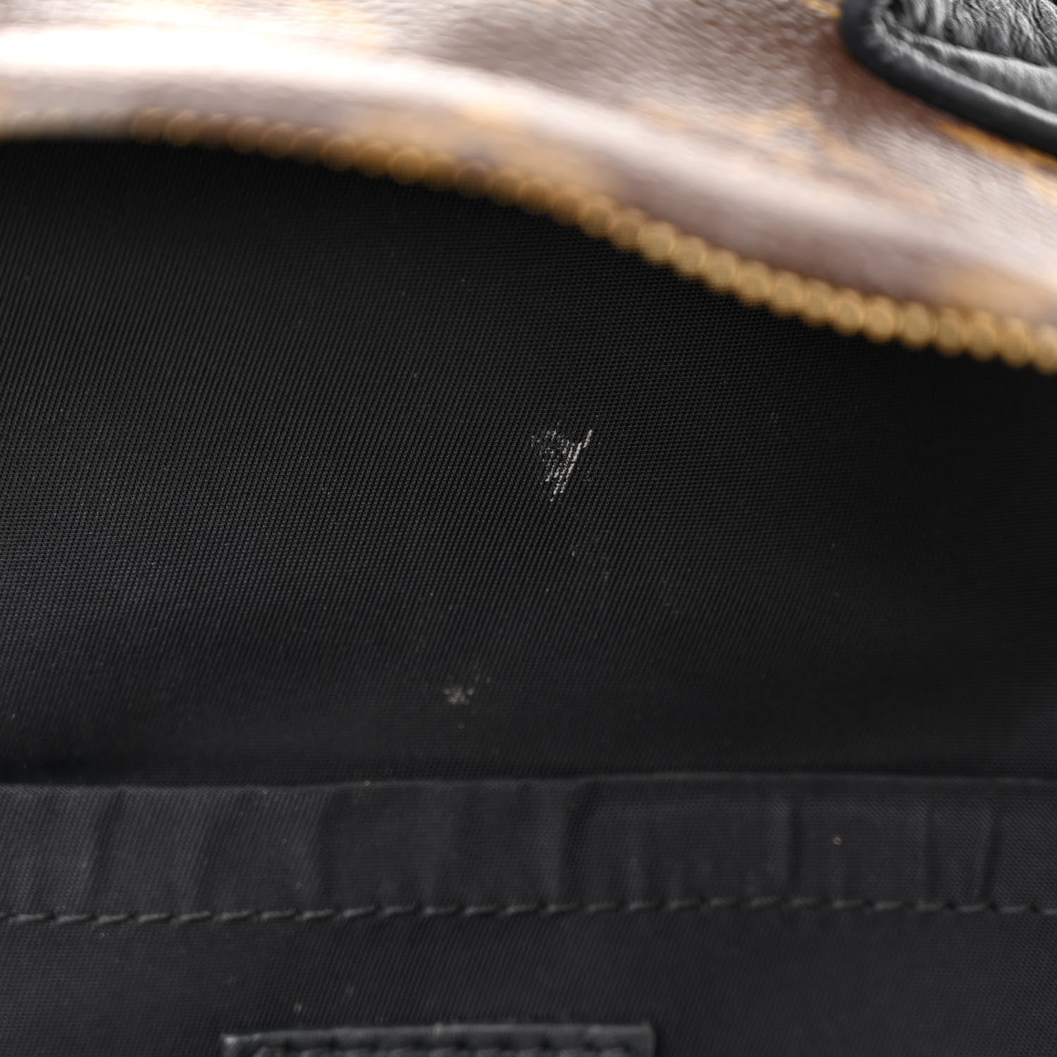 Louis Vuitton Monogram Palm Springs Backpack PM 11 of 14