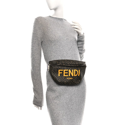 Fendi Shiny Glazed Fabric Vitello Cover FF 1974 Logo Belt Bag Tobacco Moro Giallo Ebano 2 of 10