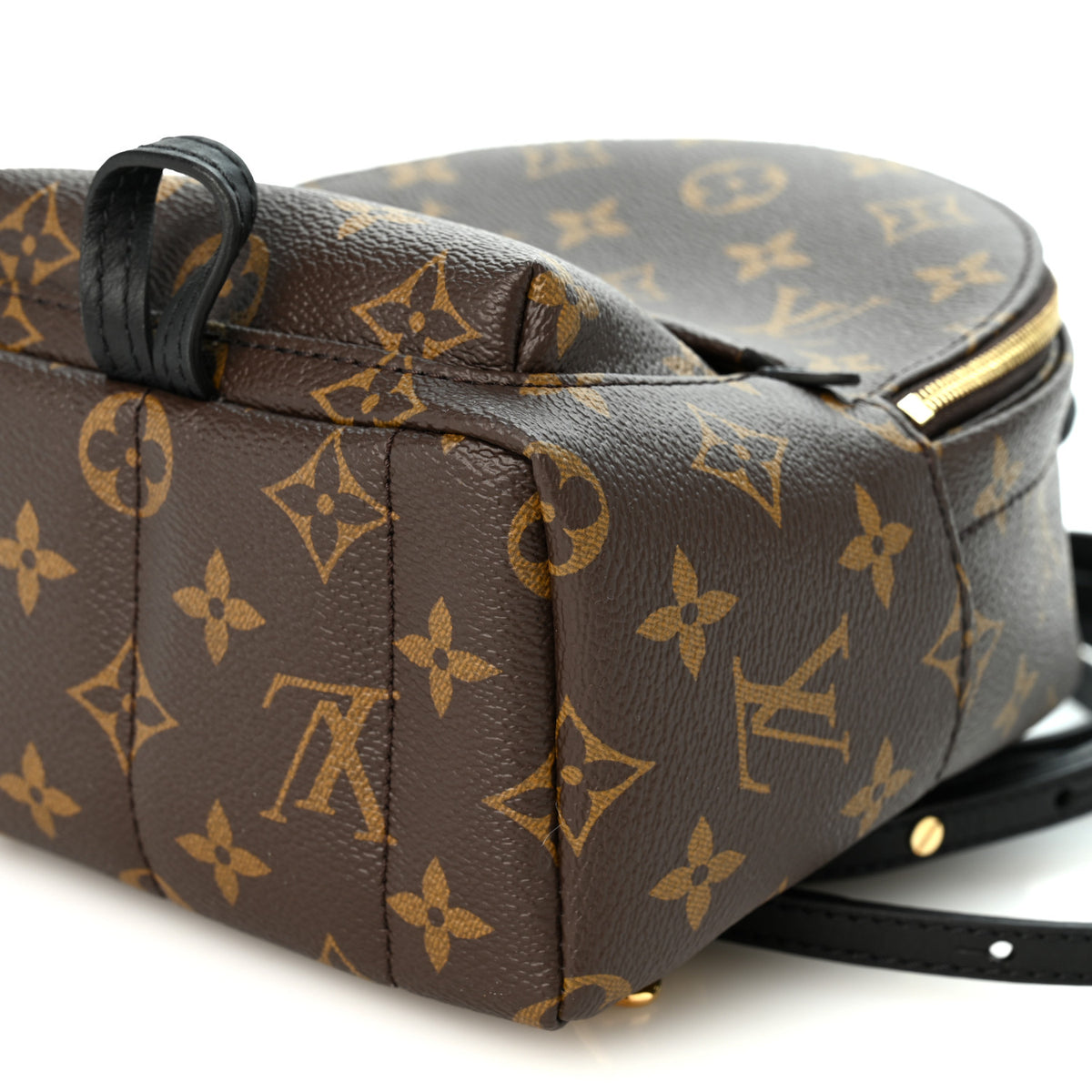 Monogram Palm Springs Backpack Mini