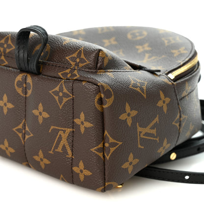 Louis Vuitton Monogram Palm Springs Backpack Mini 9 of 9