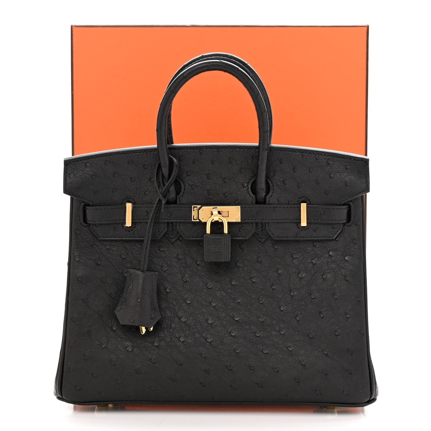 Hermes Ostrich Birkin 25 Black 10 of 10