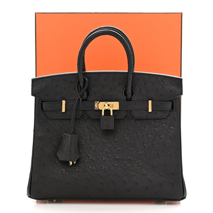 Hermes Ostrich Birkin 25 Black 10 of 10