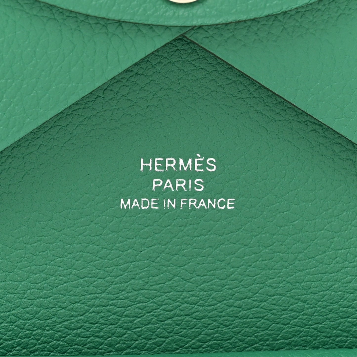 Evercolor Calvi Duo Card Case Vert Vertigo