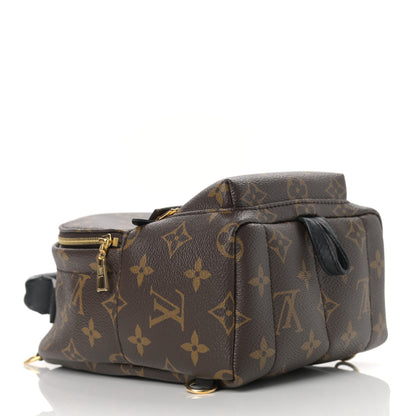 Louis Vuitton Monogram Palm Springs Backpack Mini 4 of 9