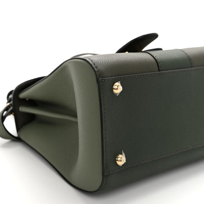 Delvaux Grained Rodeo Calfskin Mini Brillant Camaieux Satchel Kaki 9 of 10