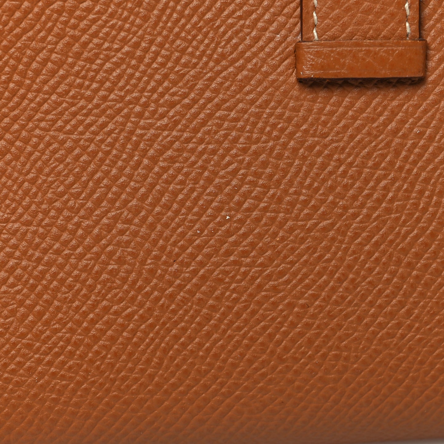 Epsom Bearn Gusset Wallet Gold