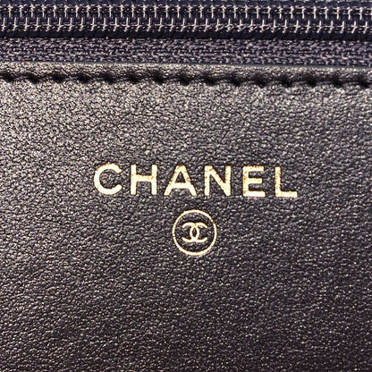 Chanel Sequin Quilted Chanel 19 Wallet On Chain WOC Silver 5 of 8