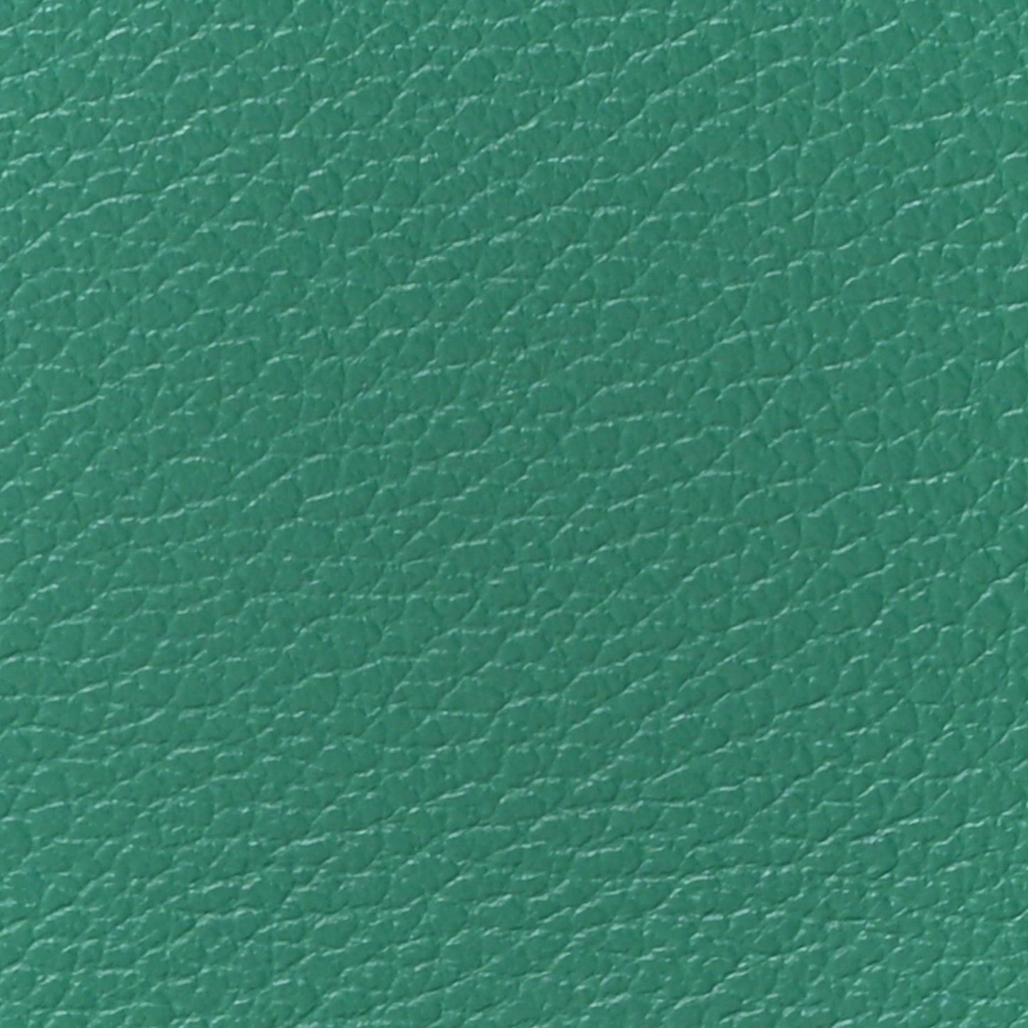 Evercolor Geta Vert Vertigo