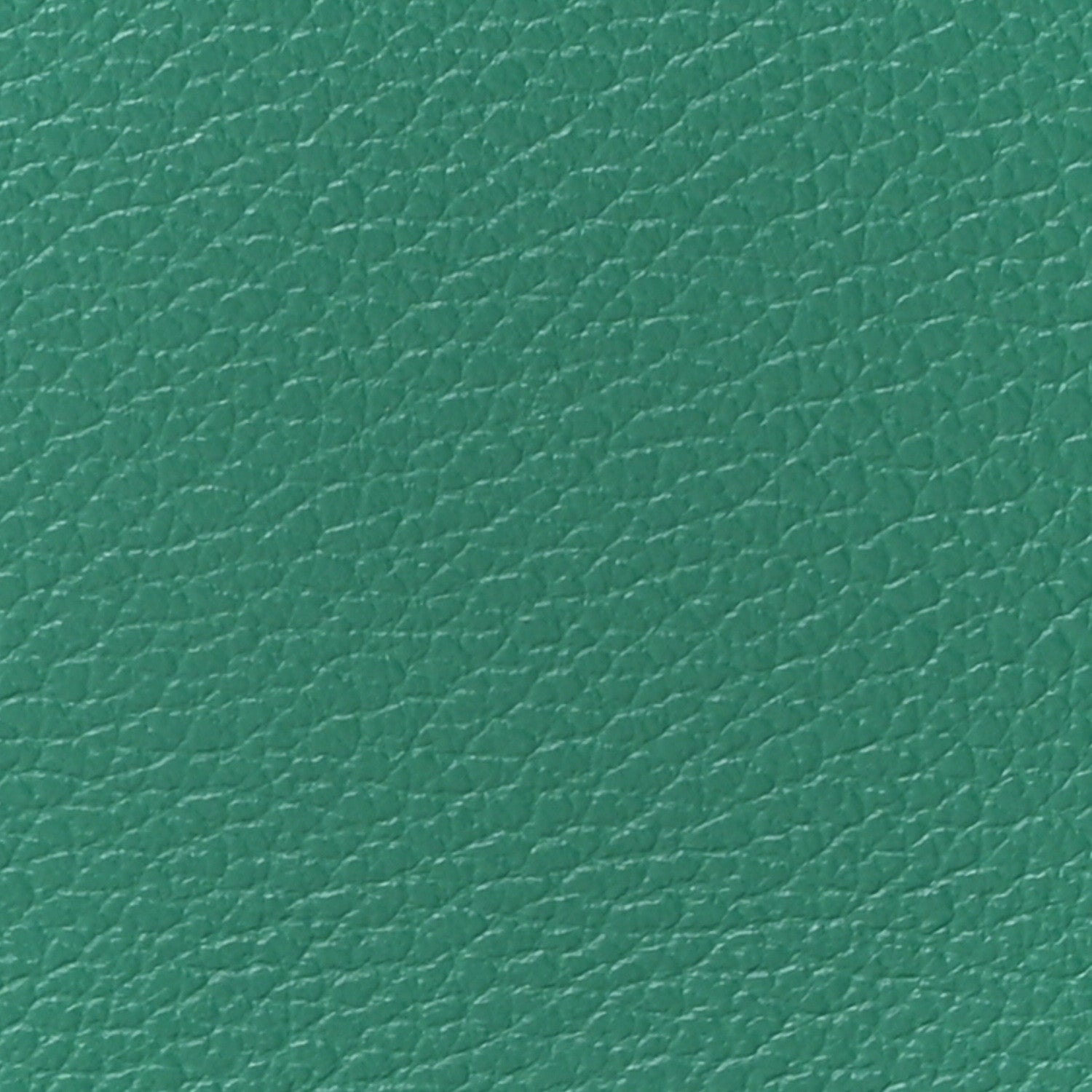 Hermes Evercolor Geta Vert Vertigo 8 of 10