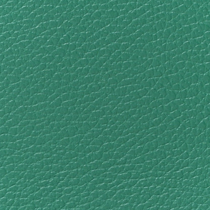 Hermes Evercolor Geta Vert Vertigo 8 of 10