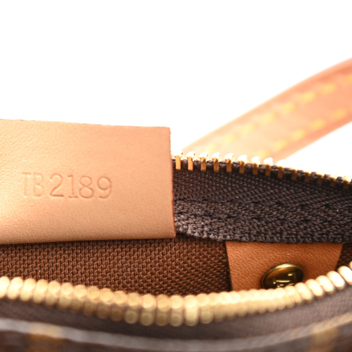 Monogram Nano Speedy