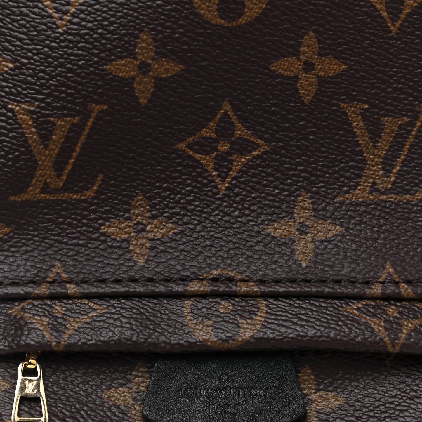 Monogram Palm Springs Backpack Mini