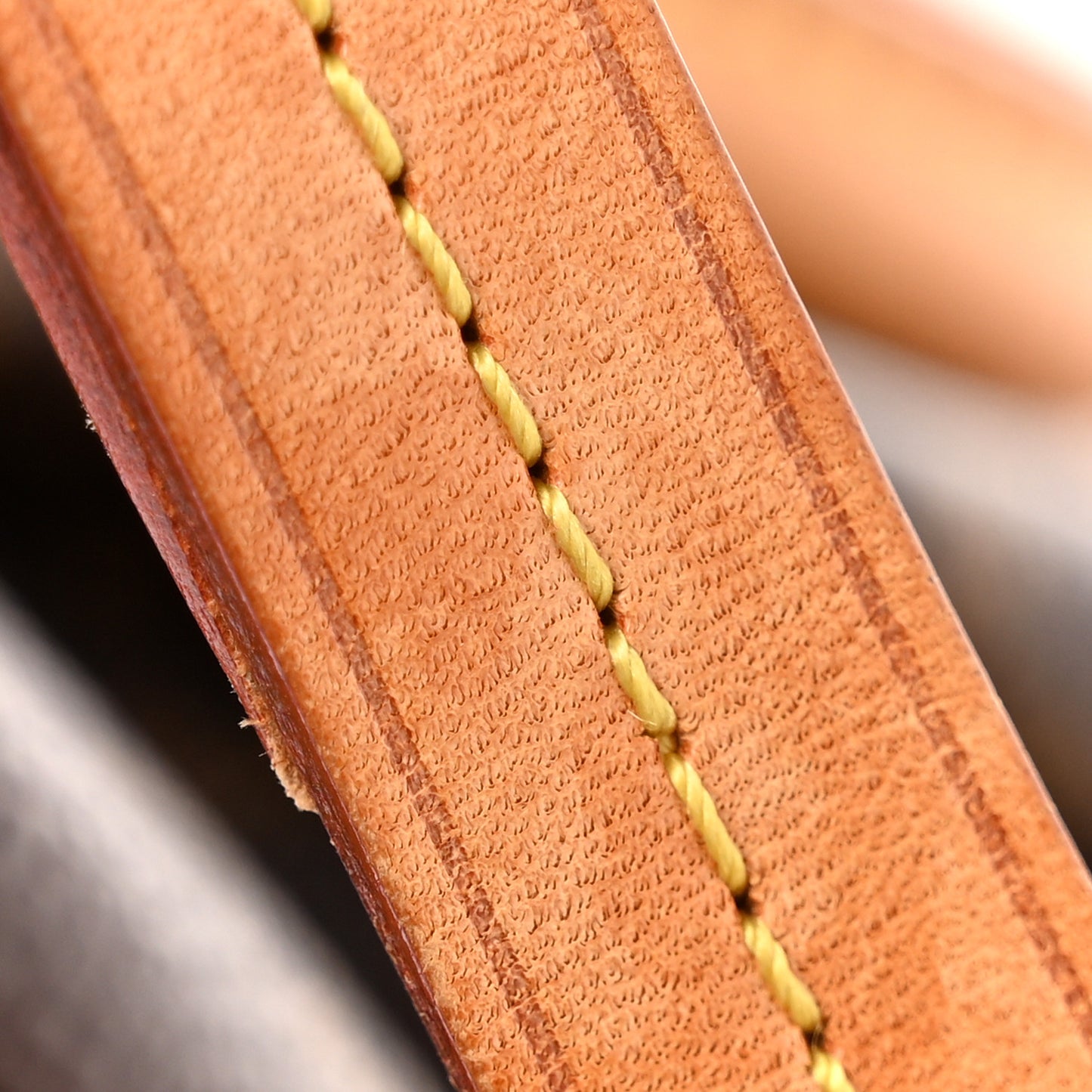 Monogram Turenne PM