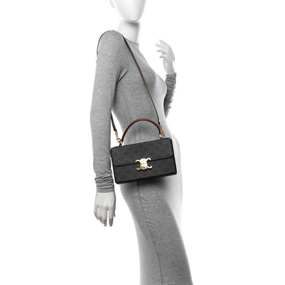 Celine Canvas Calfskin Triomphe Box Top Handle Bag Tan 2 of 10