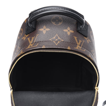 Louis Vuitton Monogram Palm Springs Backpack Mini 4 of 16