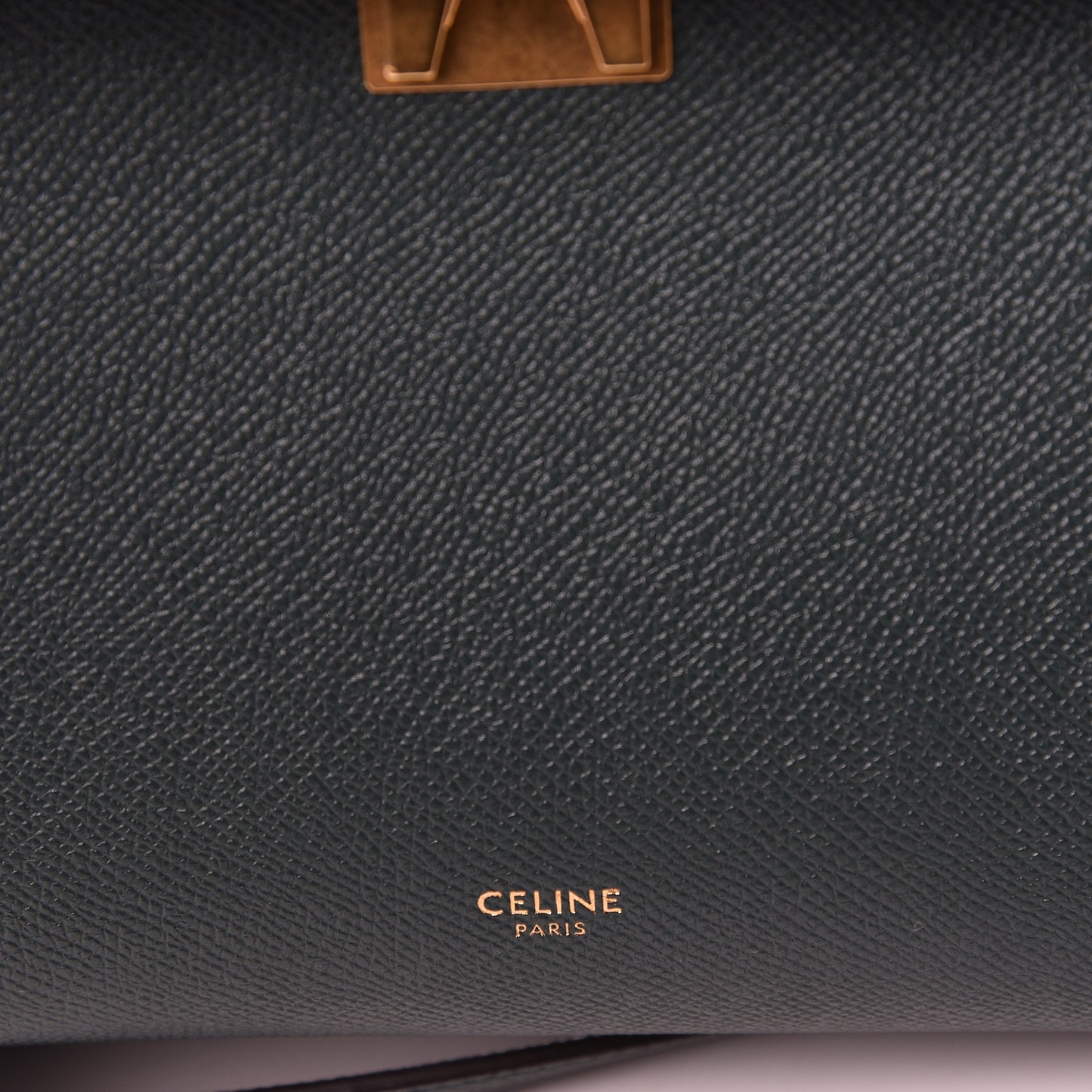 Grained Calfskin Micro Belt Bag Amazone