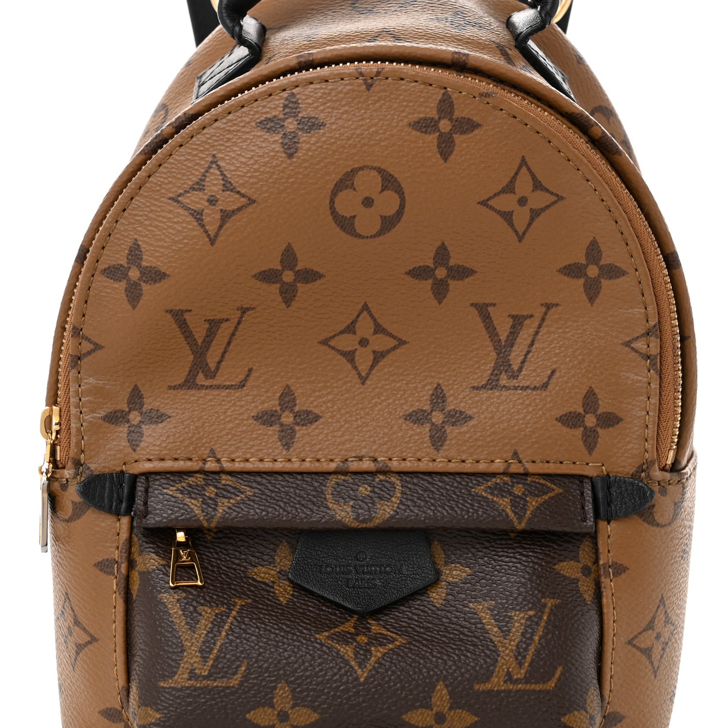 Reverse Monogram Palm Springs Backpack Mini