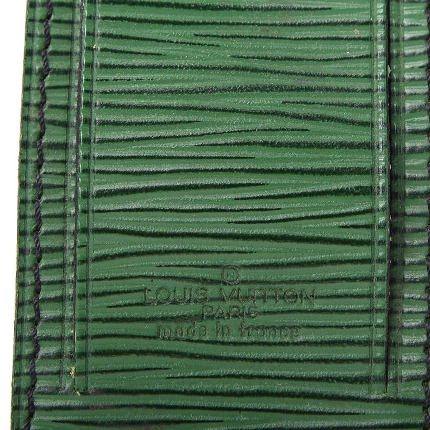 Epi Luggage Tag Green