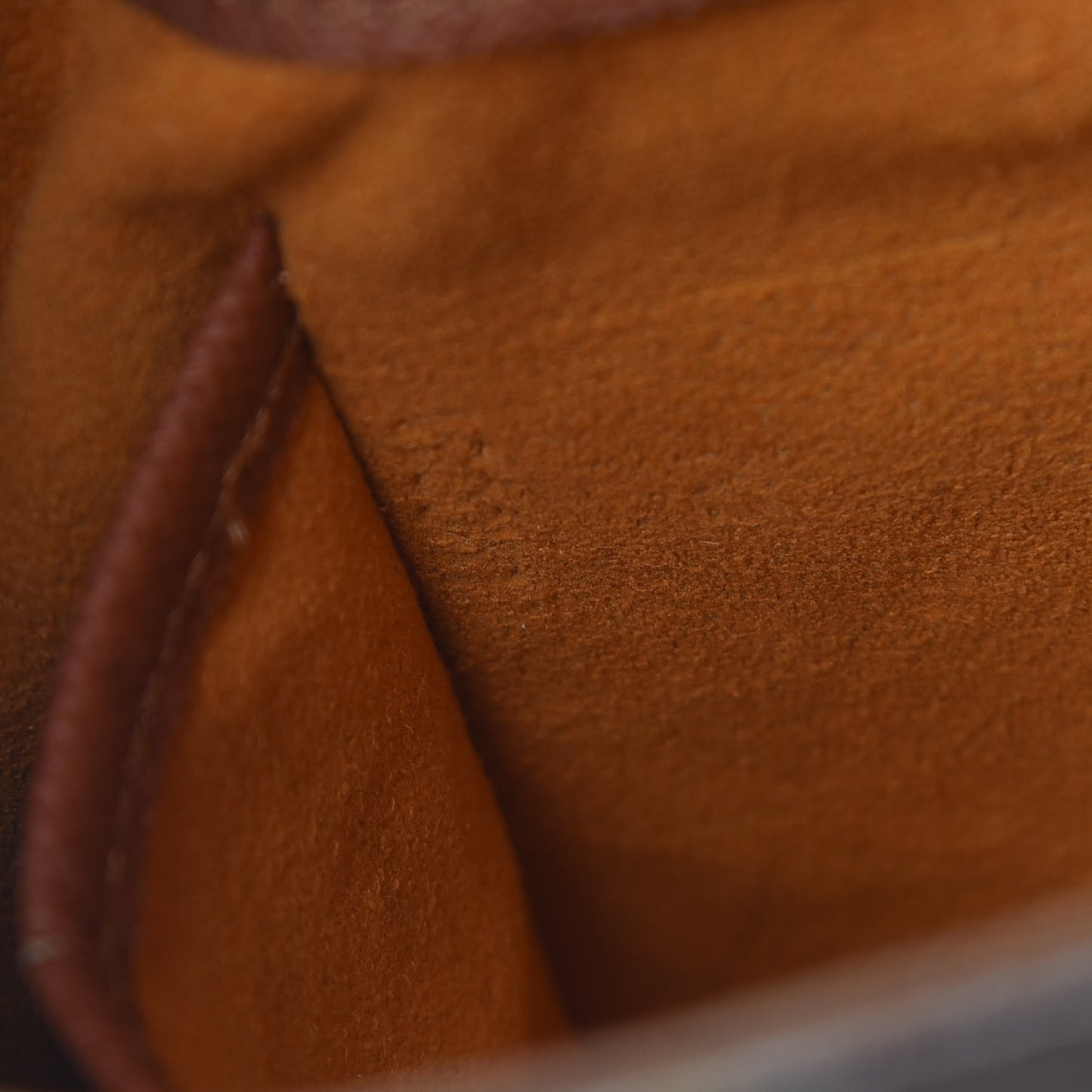 Monogram Musette Salsa