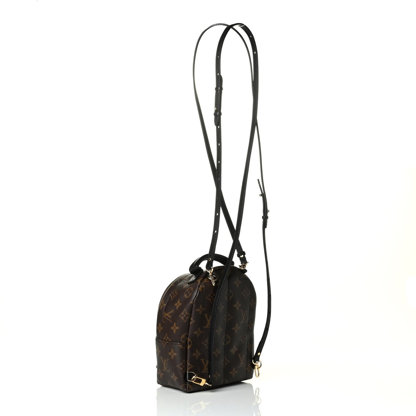 Monogram Palm Springs Backpack Mini