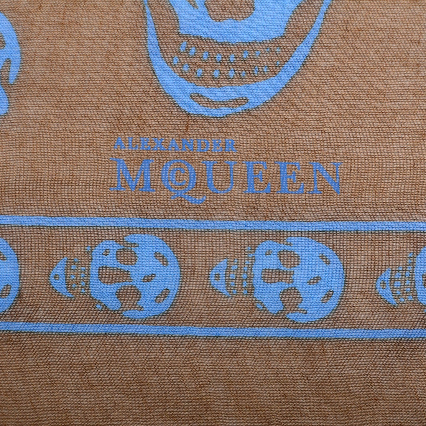 Modal Silk Fringe Edge Skull Scarf Brown Blue