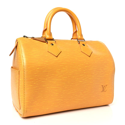 Louis Vuitton Epi Speedy 25 Tassil 3 of 9