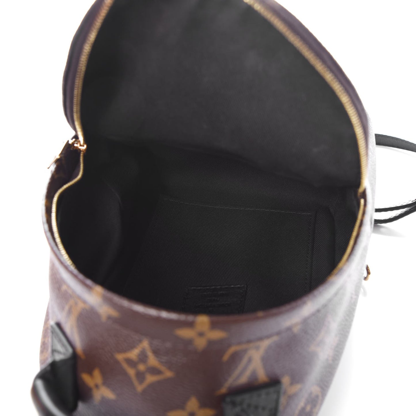 Monogram Palm Springs Backpack Mini