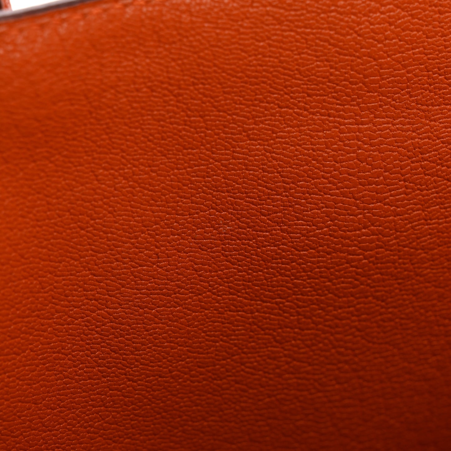 Chevre de Coromandel Birkin 35 Potiron